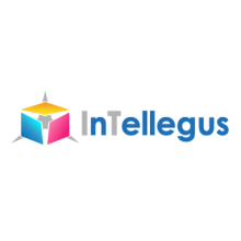 InTellegus Solutions 
